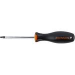 FIXMAN S/DRIVER TORX T25 6X100MM CRV WITH ERGONOMIC HANDLE